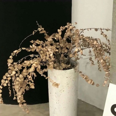 Furry插画风格灵感兽圈社群